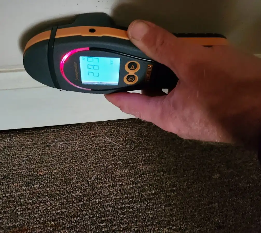 Moisture detection at baseboard during Sewage Cleanup & Sanitation in Hillsborough